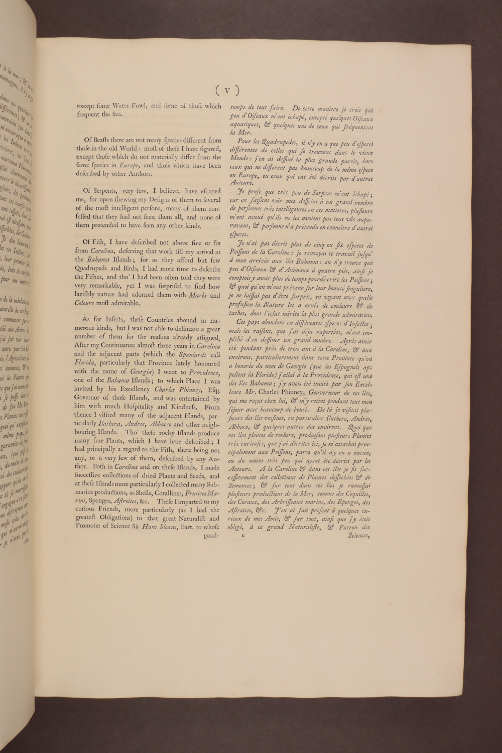 Page v